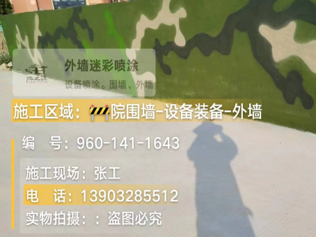 新余 迷彩漆喷涂价格（按平方米计费）